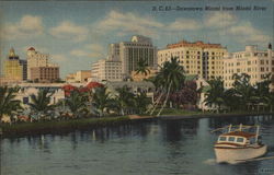 Downtown Miami, From Miami River Postcard