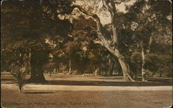 Residence in San Mateo County Postcard