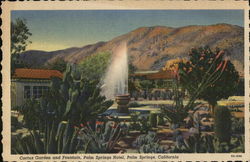 Cactus Garden and Fountain, Palm Springs Hotel California Postcard Postcard Postcard