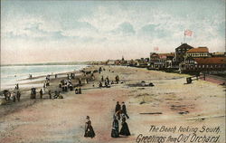 The Beach Looking South Postcard