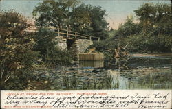 Lincoln Street Bridge and Fish Hatchery Postcard