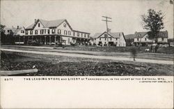 Store and Livery Postcard