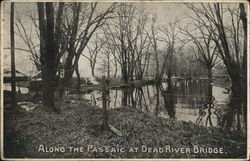 Along the Passaic at Dead River Bridge Postcard