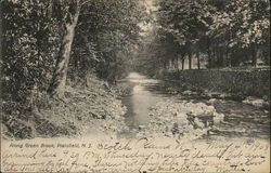 Along Green Brook Postcard