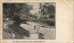 The Willows, Buckley's Creek Postcard