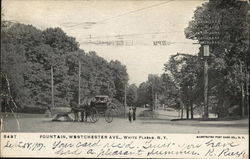 Fountain, Westchester Ave Postcard