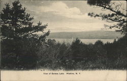 View of Seneca Lake Watkins Glen, NY Postcard Postcard Postcard