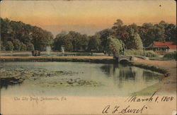 The Lily Pond Postcard