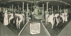 Hershey Chocolate Co. - Milking Barn Pennsylvania Postcard Postcard Postcard