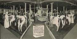 Hershey Chocolate Co. - Milking Barn Pennsylvania Postcard Postcard Postcard