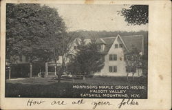 Morrisons Maple Grove House, Catskill Mountains Halcott, NY Postcard Postcard Postcard