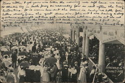 Boardwalk & Young's Pier Postcard