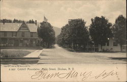 Catskill Mountains: Main Street Postcard