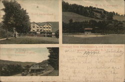 3 Pictures: Hotel Switzerland, M. A. C. Grounds, Ulster & Delaware Railroad Station Griffin, NY Postcard Postcard Postcard