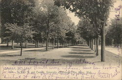 State Street and University of Michigan Campus Postcard