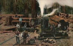 Loggers by a Freight Car and Rail Line Postcard