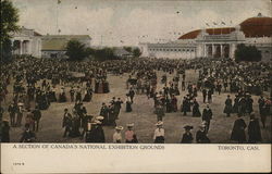 Canada's National Exhibition Grounds Toronto, ON Ontario Postcard Postcard Postcard