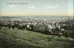 Bird's Eye View Postcard