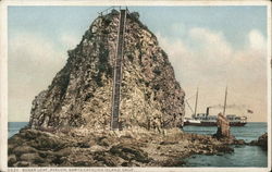 Sugar Loaf, Avalon Postcard