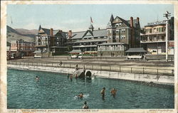 Hotel Metropole, Avalon Postcard