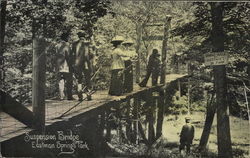 Suspension Bridge, Eastman Springs Park Benton Harbor, MI Postcard Postcard Postcard