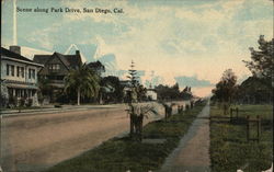 Scene Along Park Drive Postcard