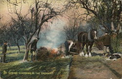 Spring Cleaning in the Orchard Farming Postcard Postcard Postcard