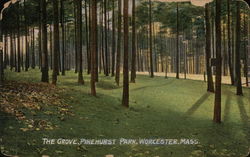 The Grove, Pinehurst Park Worcester, MA Postcard Postcard Postcard