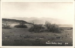 Death Valley, Calif. California Postcard Postcard Postcard