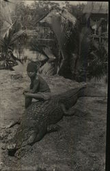 Boy Sitting on Alligator Postcard