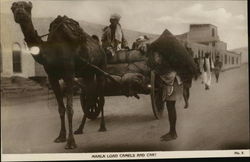 Marla Load Camels and Cart Egypt Africa Postcard Postcard Postcard