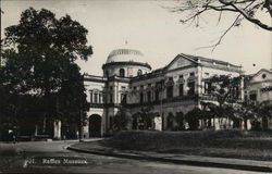 Raffles Museum of Biodiversity Research Singapore, Singapore Southeast Asia Postcard Postcard Postcard