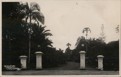 Botanical Garden Postcard