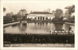 Formal Pool, Zoological Park Chicago, IL Postcard Postcard Postcard