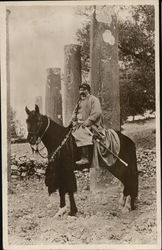 Ruins Herod’s Street of Columns, Samaria Postcard