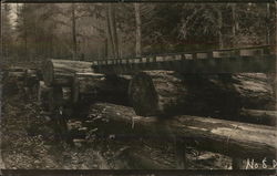 Logging in South Dakota or Washington Postcard