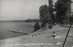 Don Conroe's Forest View Resort Postcard