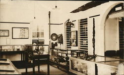 Museum Interior Postcard