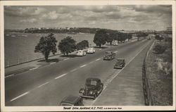 Tamoki Drive Aukland, New Zealand Postcard Postcard Postcard