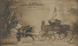 The Birdsell Wagon - Dog Cart, Birdsell Mfg. Co. South Bend, IN Postcard Postcard Postcard