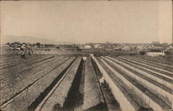 Farm Fields China Postcard Postcard Postcard