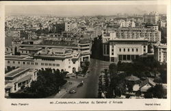 Avenue du General d'Amade Postcard