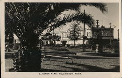 Cameron Park Wellington, NSW Australia Postcard Postcard Postcard