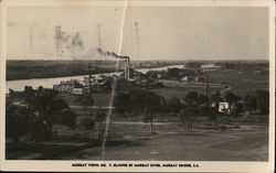 Glimpse of Murray River Postcard