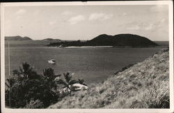 Overlooking the Bay Australia Postcard Postcard Postcard