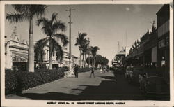 Sydney Street Looking South Postcard