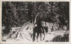 Man and Horse on Track to Barrington Tops Australia Postcard Postcard Postcard