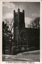 St. Peter's Anglican Cathedral Postcard