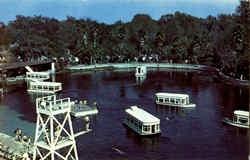 Silver Springs Postcard