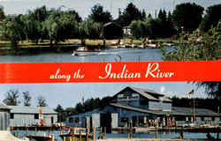 Along The Indian River Postcard